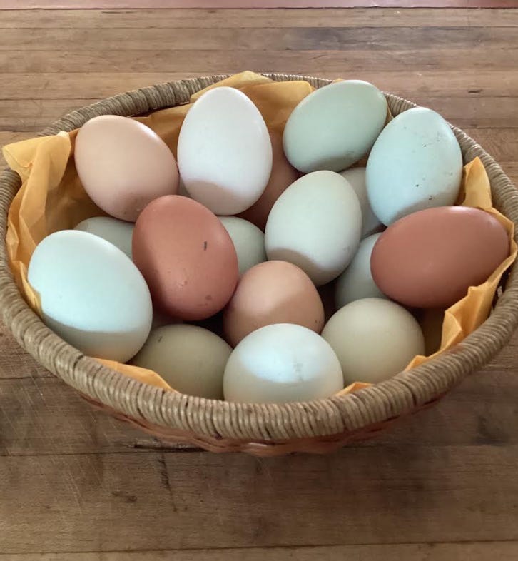 Autonomie Évènement Groupe Ressourcement Nature Hébergement