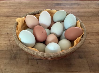 Produits Autonomie Évènement Groupe Ressourcement Nature Hébergement